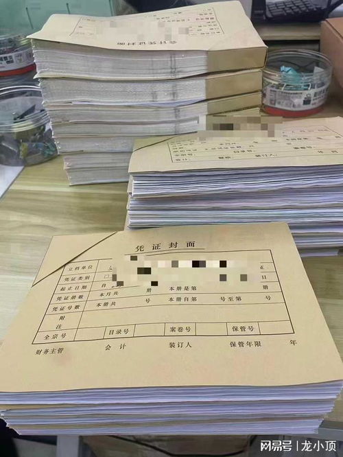 濰坊企業(yè)財務(wù)首選 龍頂會計服務(wù)，專業(yè)代理記賬與出口退稅專家